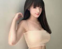 掌上资料查询
